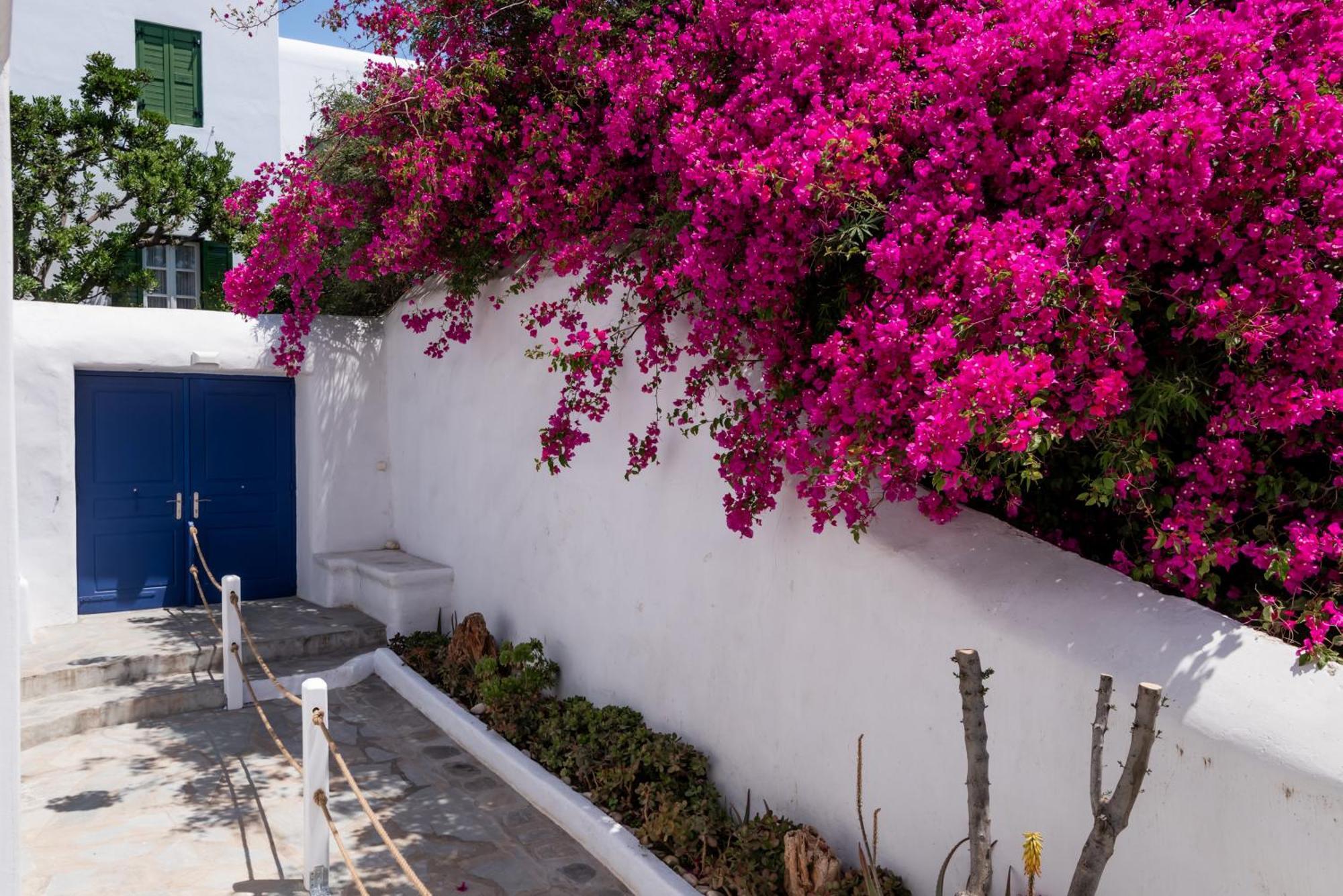 Olive Tree Mykonos Town Semi-Basement Apartment Exterior photo